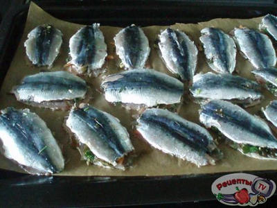 ������� � ����������(������������� ��������)