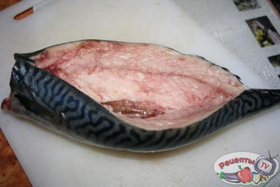 �������� �������������