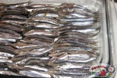 ������ ������� ��������� � ��������� �����