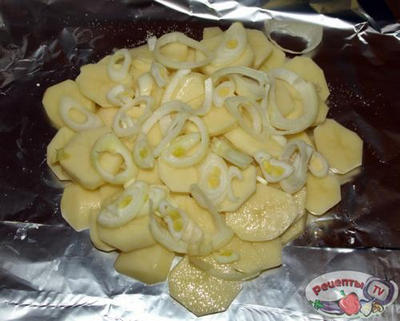 ���� � ������ (�������)