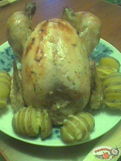 ������ �������